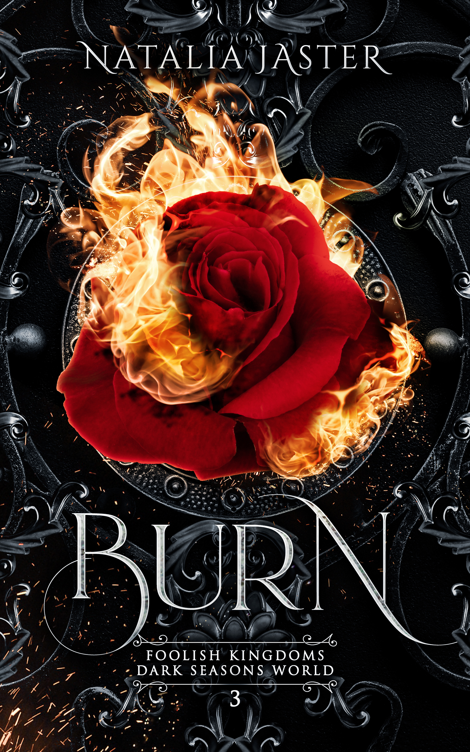 Cover of Burn, a novel by Natalia Jaster in the Foolish Kingdom Series